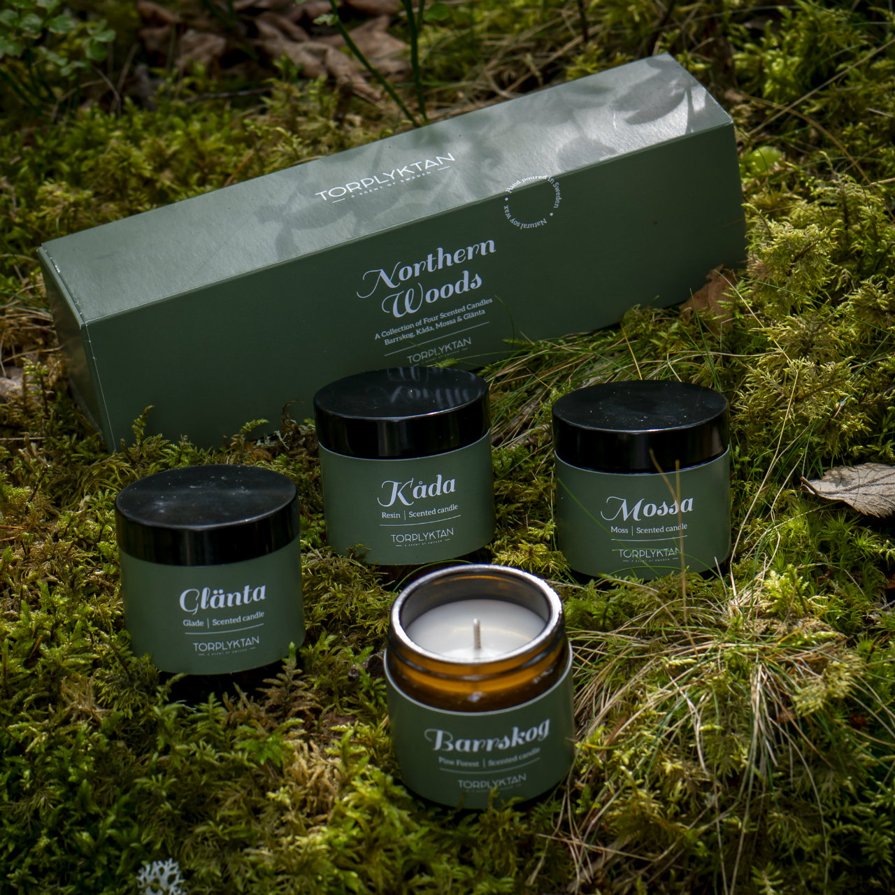 Torplyktan トープリュクタン アロマキャンドル 北欧の森 4種セット Northern Woods